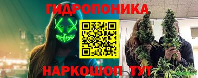 a pvp Дубна